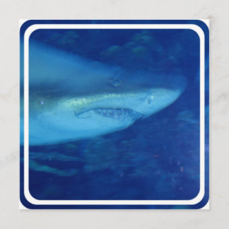 Great White Shark Invitation