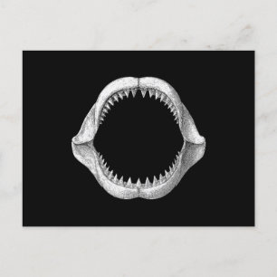 Great White Shark Jaw Holiday Postcard
