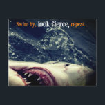 Great white shark jaws holiday postcard<br><div class="desc">This is a closeup photo I took of a great white shark in South Africa</div>