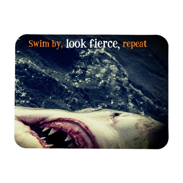Great white shark jaws magnet (Horizontal)