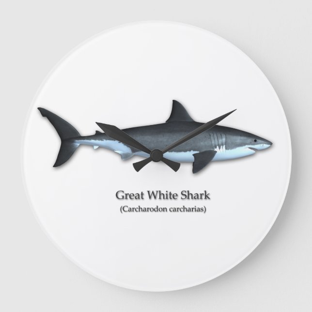 Great White Shark Large Clock (Front)