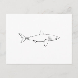 Great White Shark (line art) Postcard