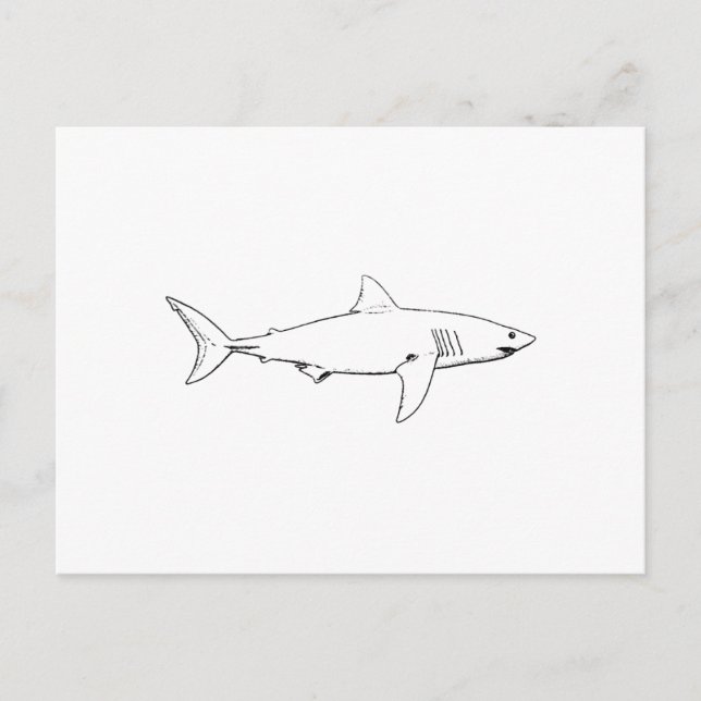 Great White Shark (line art) Postcard (Front)