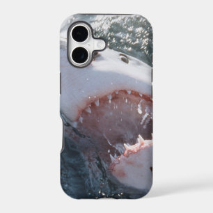 Great White Shark on sea