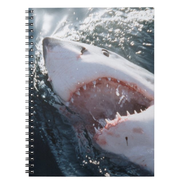Great White Shark on sea Spiral Notebook (Front)