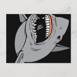 Great White Shark Postcard