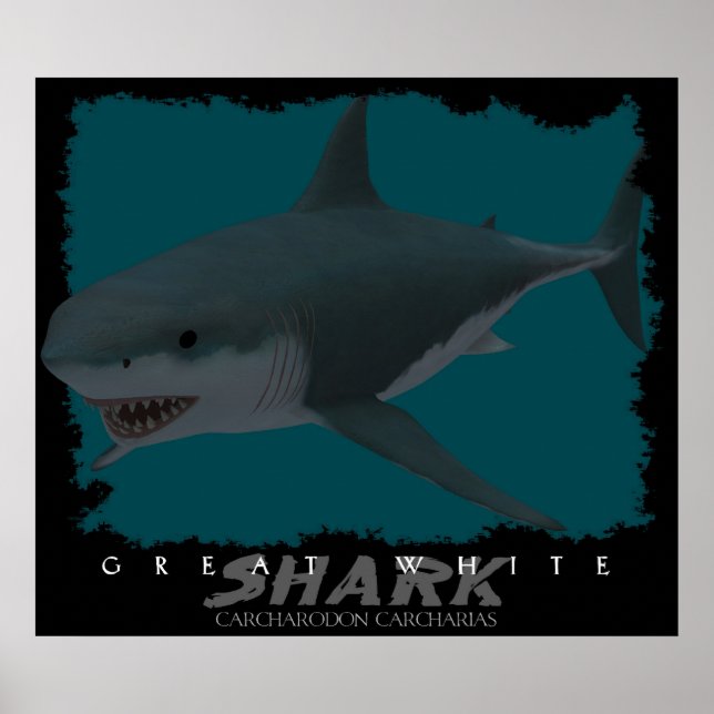 Great White Shark Poster (Front)