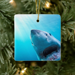 Great White Shark   South Africa Ceramic Ornament