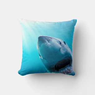 Great White Shark   South Africa Cushion