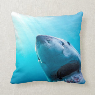 Great White Shark South Africa Cushion