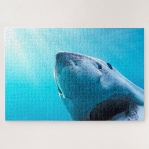 Great White Shark   South Africa Jigsaw Puzzle