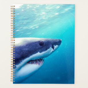 Great White Shark South Africa Planner