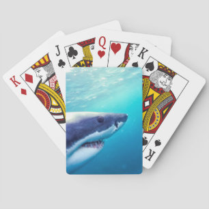 Great White Shark South Africa Playing Cards