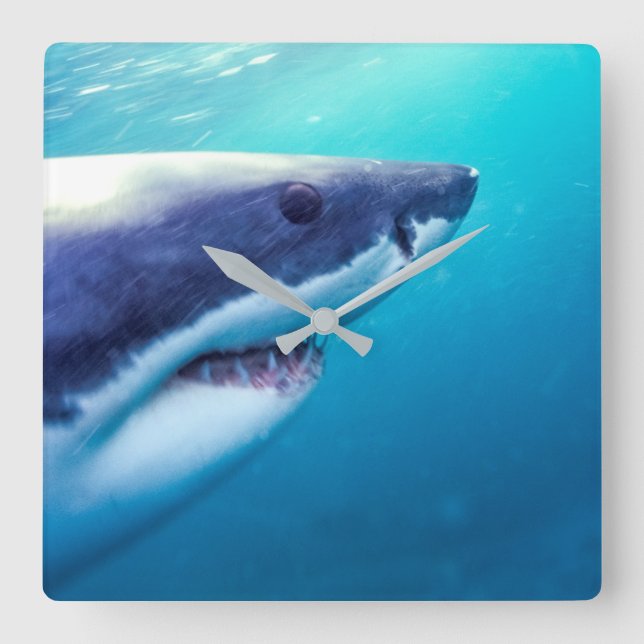 Great White Shark | South Africa Square Wall Clock (Front)