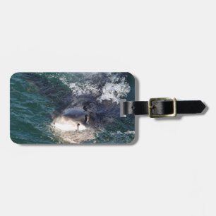 Great white shark spy hopping luggage tag