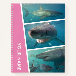 Great White Sharks Australia Photo Collage, Pink Notebook