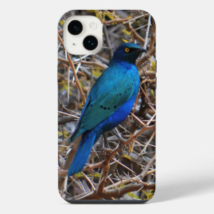 Greater Blue Eared Starling bird iPhone 14 Plus Case