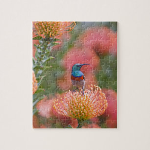 Greater Double-collared Sunbird Jigsaw Puzzle