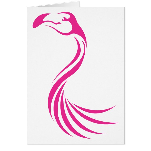 Greater Flamingo (Front)