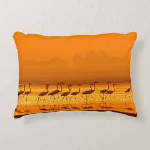 Greater Flamingo ( Phoenicopterus roseus) walking Decorative Cushion