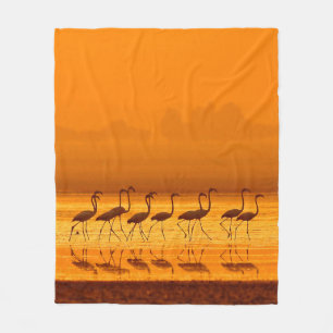 Greater Flamingo ( Phoenicopterus roseus) walking Fleece Blanket