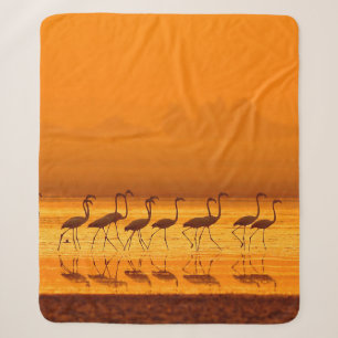 Greater Flamingo ( Phoenicopterus roseus) walking Sherpa Blanket