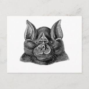 Greater Horseshoe Bat Postcard