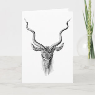 Greater Kudu Card