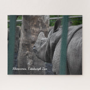 Greater One-Horned Rhinoceros at Edinburgh Zoo Jigsaw Puzzle