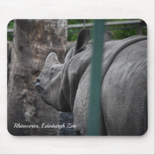 Greater One-Horned Rhinoceros at Edinburgh Zoo Mouse Pad