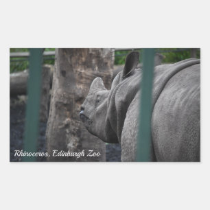 Greater One-Horned Rhinoceros at Edinburgh Zoo Rectangular Sticker