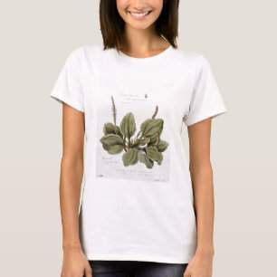 Greater Plantain, painted at Bayswater, 24th July T-Shirt