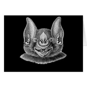 Greater Spear-nosed Bat