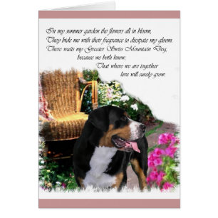 Greater Swiss Mountain Dog Art Gifts