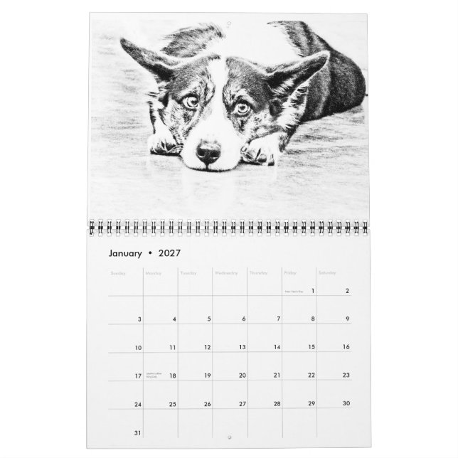 Greater Swiss Mountain Dog Calendar (Jan 2027)