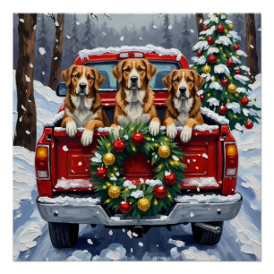 Greater Swiss Mountain Dog Christmas Red Truck Poster
