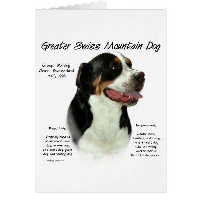Greater Swiss Mountain Dog History Design (Front)