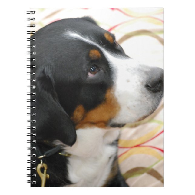Greater Swiss Mountain Dog Notebook (Front)