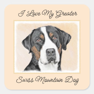 Greater Swiss Mountain Dog Painting - Original Art Square Sticker