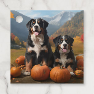 Greater Swiss Mountain Pup Autumn Delight Pumpkin Favour Tags