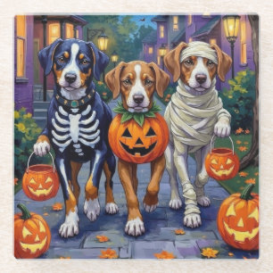 Greater Swiss Mountain Trick-or-Treating Halloween Glass Coaster