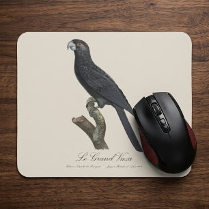 Greater Vasa Parrot, Coracopsis Vasa Illustration Mouse Pad