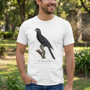 Greater Vasa Parrot, Coracopsis Vasa Illustration T-Shirt