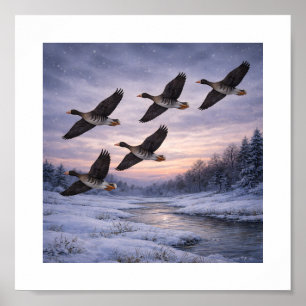 Greater White-fronted Geese in Winter –  Poster