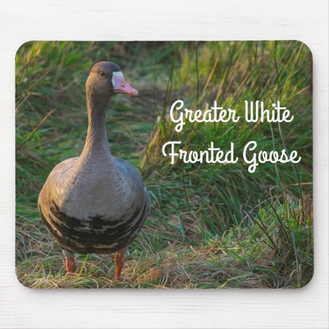 Greater White Fronted Goose Mouse Pad (Front)