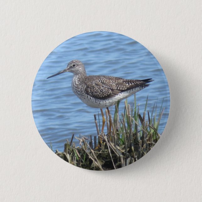 Greater Yellowlegs button (Front)