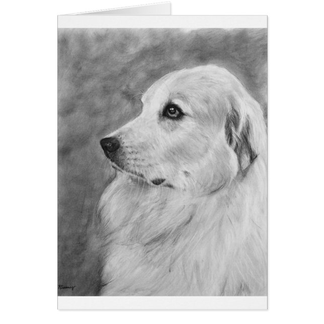 GreatPyreneese.jpg (Front)