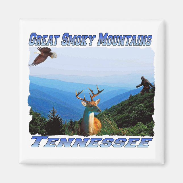 GreatSmokeyMountainsTennessee Magnet or Coaster (Front)