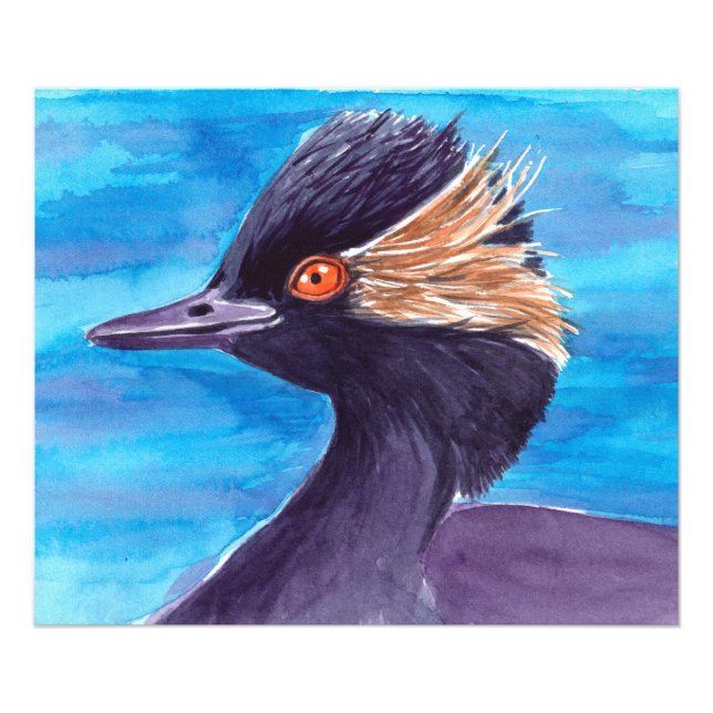 Grebe Photo Print (Front)