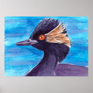 Grebe Poster